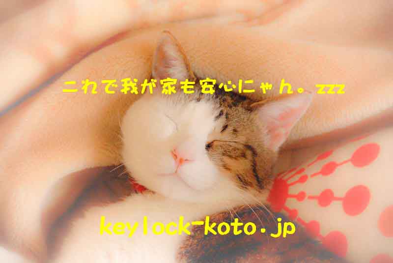 安全な鍵への交換で安心な暮らし。愛猫の寝顔。