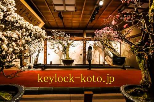 滋賀県長浜市、慶雲館　長浜盆梅展 滋賀県近江八幡市の鍵屋、キー・ロック・サービス湖東・湖北エリア出張所